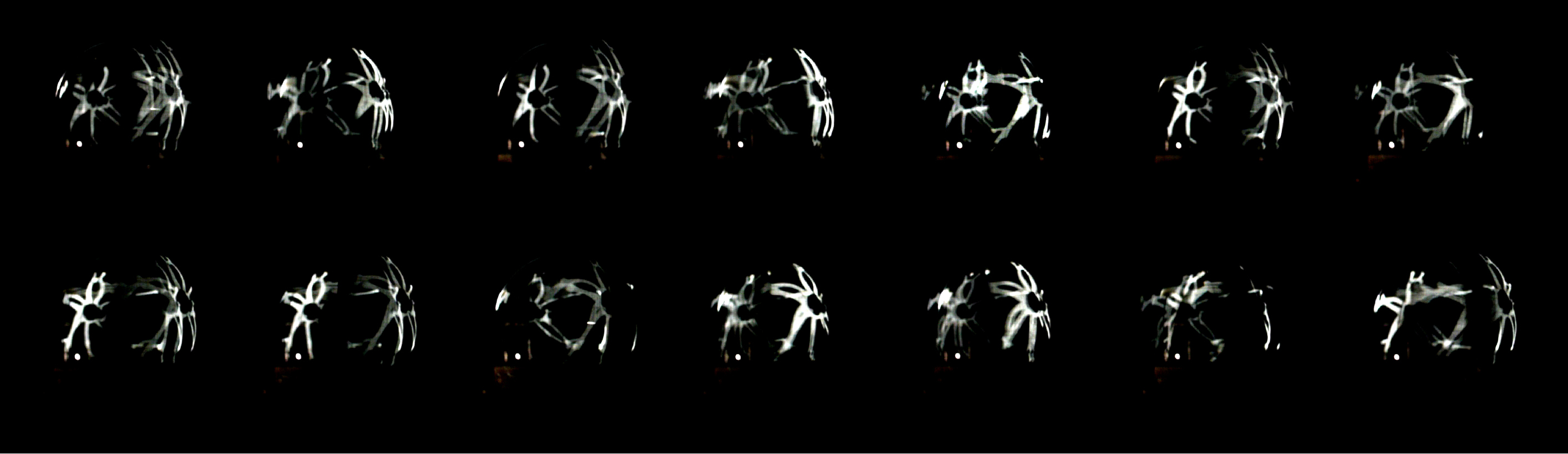 Silvi Simon meduse sequaence