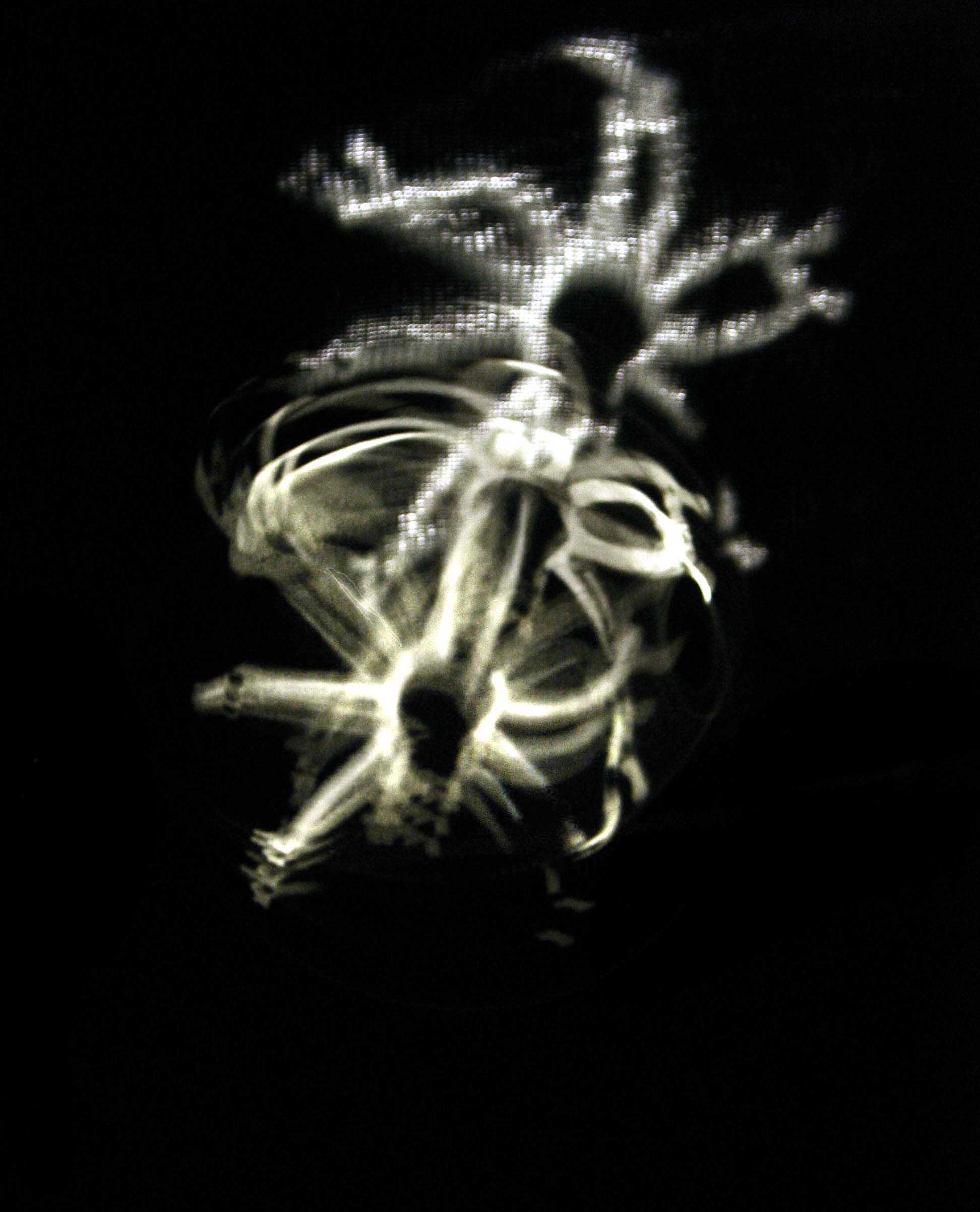 Silvi Simon moteurs web